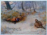 Frost in the Coverts by Archibald Thorburn